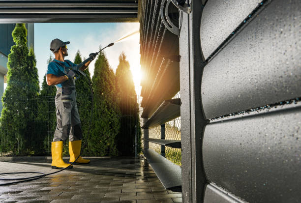 Animal Enclosure Cleaning in Grenelefe, FL